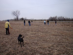 Measuring plots