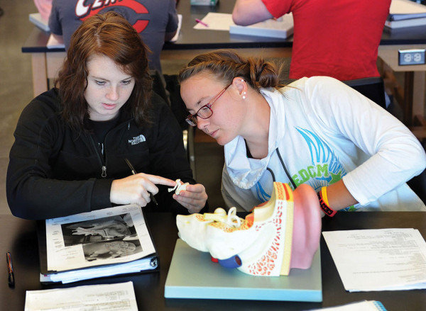 Anatomy students use models to understand the human body.