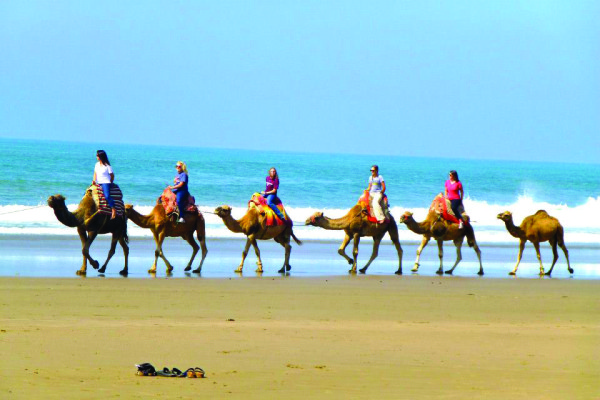 camels beach