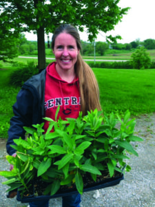 Milkweed and me2