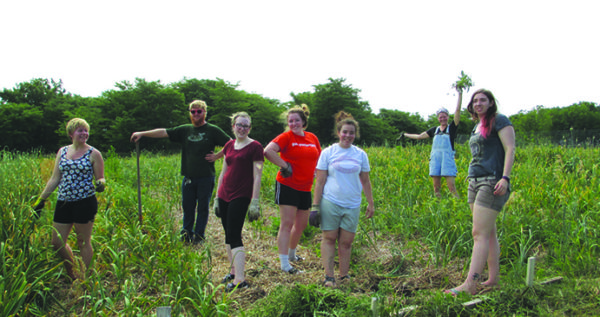 Students visited Lutheran Services in Iowa’s Global Greens garden, which helps refugees reconnect with the land.